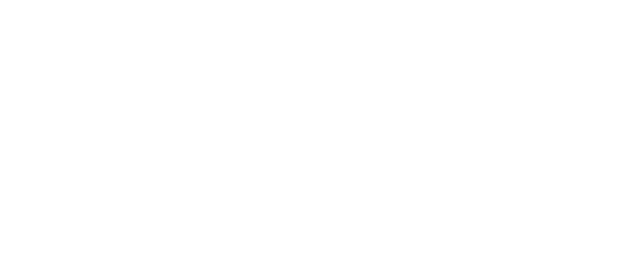 Official Scouts BSA logo